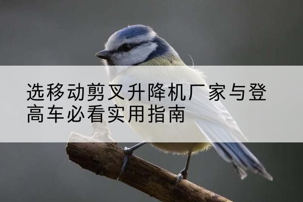 鄱阳电动升降机厂家-选移动剪叉升降机厂家与登高车必看实用指南