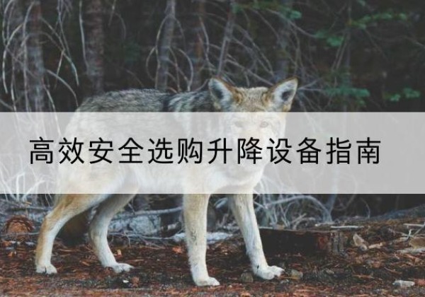 鄱阳升降货梯厂家推荐-*安全选购升降设备指南